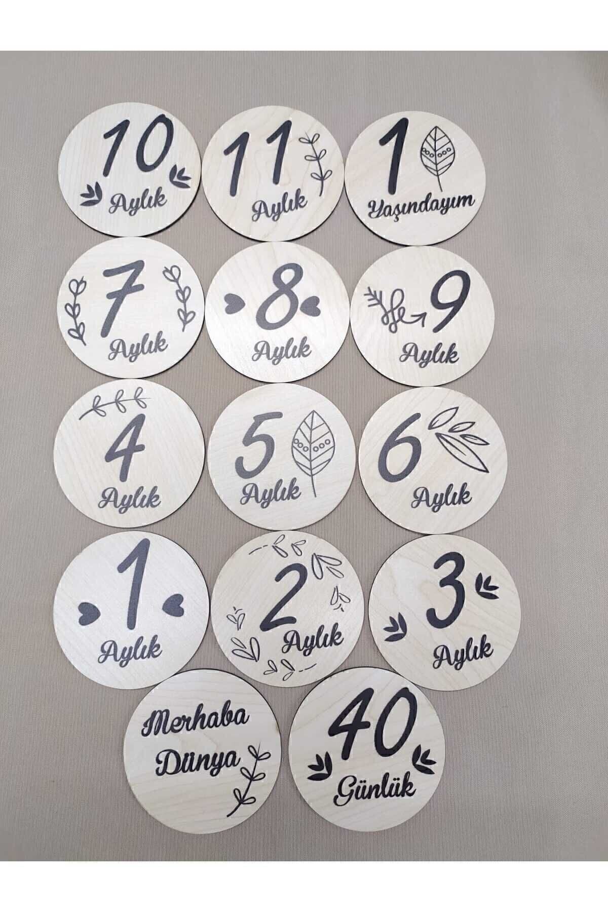 12 Aylık Plak Seti Ahşap Bebek Fotoğraf Kartları , Ilklerim Seti , Anı Kartları,hobbeb003,1 Yaş